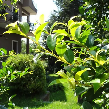 Etna Sunrise Bed & Breakfast
